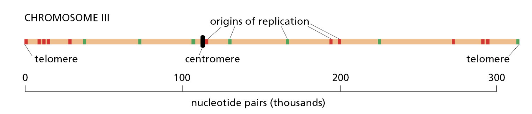 Figure 5-30.png